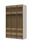 Armadio Neiafu 06 | Cashmere | 3 ante in vetro | Piedini regolabili | Illuminazione interna | Soft-Close | 224 x 137 x 56 cm