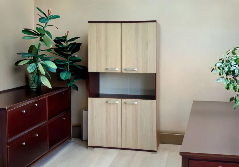 Armadio Cikupa 44 noce/olmo | 160 x 90 x 40 cm | Design moderno | Ampio spazio contenitivo