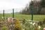Recinzione in grigliato a doppia barra "Davide" 6/5/6 mm, Stile: verniciato in verde, Altezza: 123 cm, Lunghezza: 251 cm