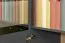 Cassettiera Vaitele 28 | Antracite lucido e noce | 88 x 167 x 45 cm | Soft Close e LED