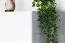 Scaffale per cameretta Lede 04 | Grigio, rovere e bianco | 190 x 60 x 40 cm | Design moderno