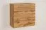 Moderno pensile Fardalen 12, colore: rovere Wotan - Dimensioni: 60 x 60 x 30 cm (A x L x P), con due scomparti