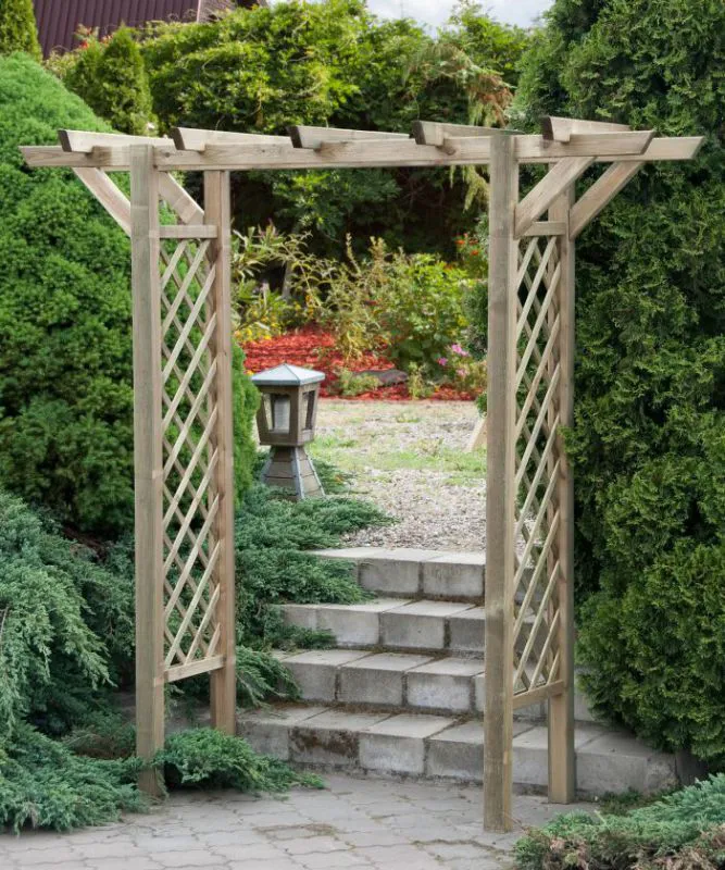 Pergola "Blauregen" dritta - 220 x 80 x 215 cm (l x p x h)