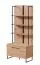 Scaffale Crina 03 | Rovere Artisan e Nero | 1 Anta a Ribalta | 2 Scomparti | 3 Ripiani | 191,5 x 85 x 42 cm