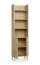 Scaffale Mirinay 07 color rovere | 1 anta con sistema Soft-Close | 5 scomparti | 54,5 x 38 x 204 cm