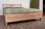 Cameretta completa B Braianik 5 pezzi | Rovere Wotan/beige | Piedini 36 mm | Maniglie oro opaco | Protezione ABS