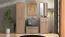Armadio Paduna 01 rovere Artisan | 2 scomparti | 1 anta | Barra appendiabiti estraibile | 197,5 x 54,5 x 40 cm