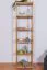 Scaffale in pino massello color ontano Junco 54D | 200 x 50 x 30 cm | 5 ripiani robusti