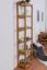 Scaffale in pino massello color ontano Junco 54D | 200 x 50 x 30 cm | 5 ripiani robusti