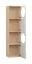 Libreria moderna 4 ante Aenna 67 | Rovere/Bianco | 4 scomparti | 202,5 x 50,5 x 35 cm | Maniglie bianche