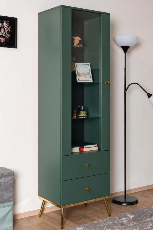 Vetrina alta Inari 01 | Verde bosco | 190 x 55 x 40 cm | 1 anta, 2 cassetti, 4 vani | Stile moderno